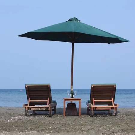 E-hotel Larnaca & 4*