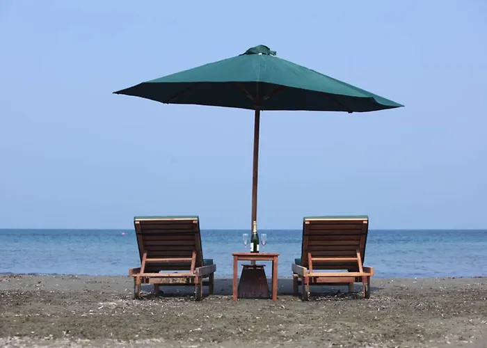 E-hotel Larnaca & 4*